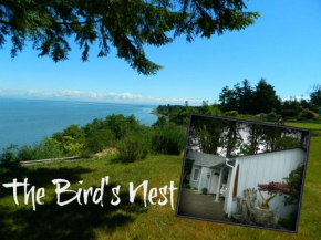 SQ The-Birds-Nest